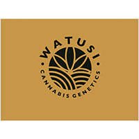 Watusi